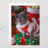 Russisches Blue Kitten und Weihnachten 2 (Vorne/Hinten)