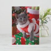 Russisches Blue Kitten und Weihnachten 2 (Stehend Vorderseite)