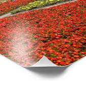 Russland, Moskau, Roter Platz, Alexandrowski Fotodruck (Ecke)