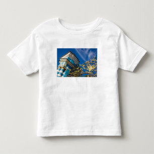 Russland, Puschkin. Gate-Detail und Stützturm Kleinkind T-shirt