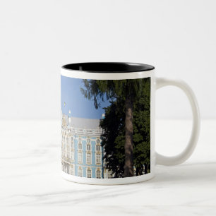 Russland, St. Petersburg, Catherine's Palace (alia Zweifarbige Tasse