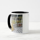 Russland, St. Petersburg, Peterhoff (alias 2 Tasse (Vorderseite Links)