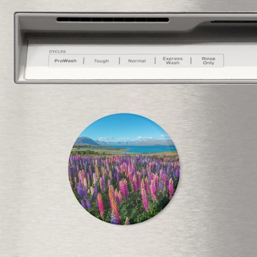 Russle Lupines am Tekapo-See | Neuseeland Magnet (In Situ (Geschirrspüler))