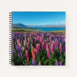 Russle Lupines am Tekapo-See Neuseeland Notizblock