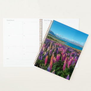 Russle Lupines am Tekapo-See Neuseeland Planer