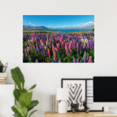 Russle Lupines am Tekapo-See | Neuseeland Poster (Heimbüro)