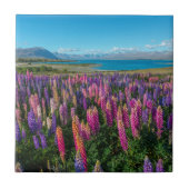 Russle Lupines in See Tekapo | Neuseeland Fliese (Vorderseite)