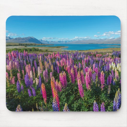 Russle Lupines in See Tekapo | Neuseeland Mousepad (Vorne)