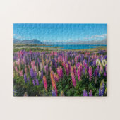 Russle Lupines in See Tekapo | Neuseeland Puzzle (Horizontal)