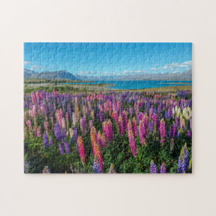 Russle Lupines in See Tekapo   Neuseeland Puzzle