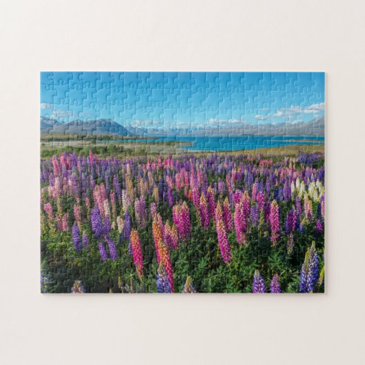 Russle Lupines in See Tekapo | Neuseeland Puzzle (Horizontal)