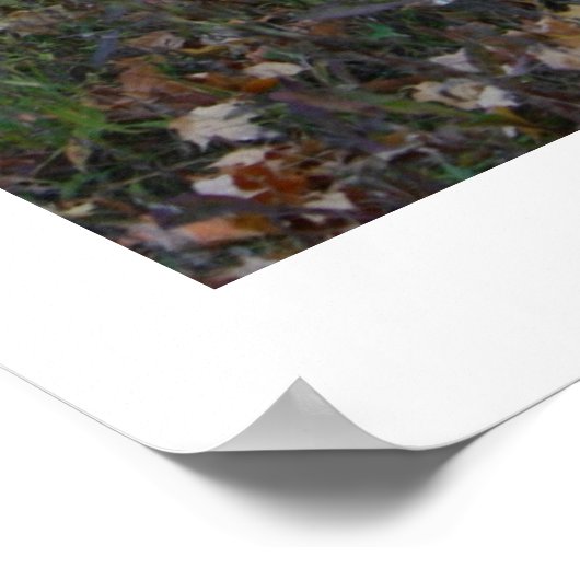 Rust führt uns alle poster (Ecke)