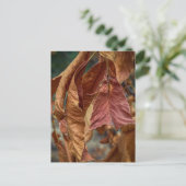Rust Leaves Postkarte (Stehend Vorderseite)