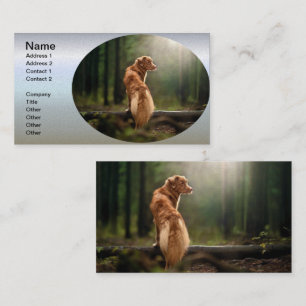 Rust Retriever aus Nova Scotia Visitenkarte