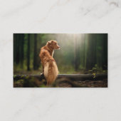 Rust Retriever aus Nova Scotia Visitenkarte (Rückseite)