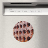 Rusted Perforated Metal Large Round Magnet (In Situ (Geschirrspüler))