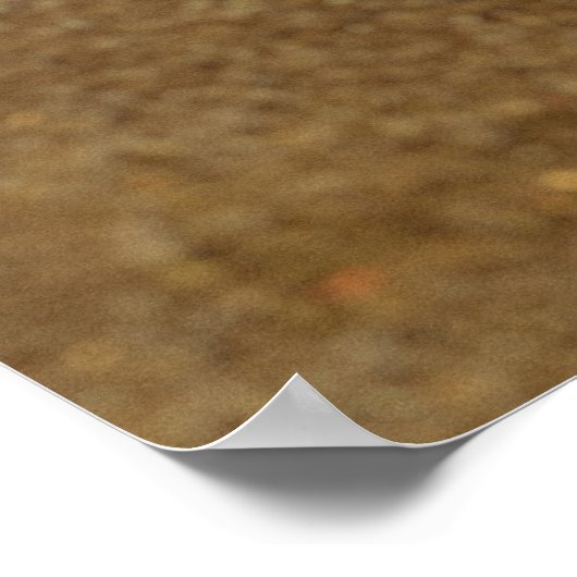 Rusted Shipwreck an einem Strand gelegen oder gest Poster (Ecke)