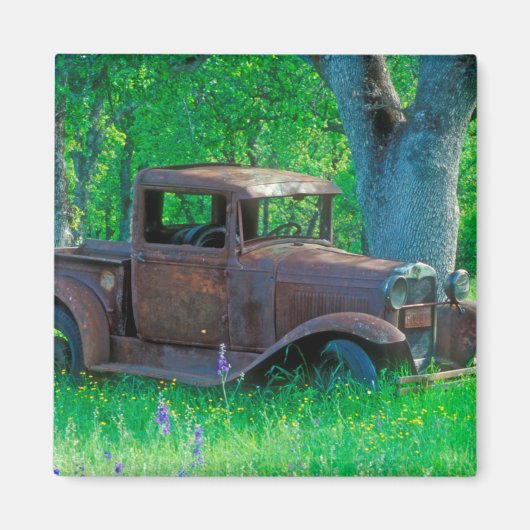 Rusted truck in a meadow magnet (Vorne)