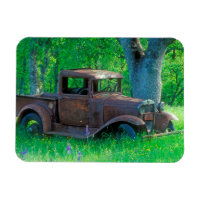 Rusted truck in a meadow