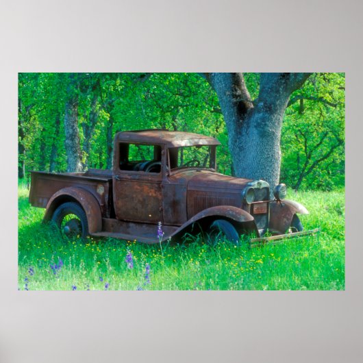 Rusted truck in a meadow poster (Vorne)