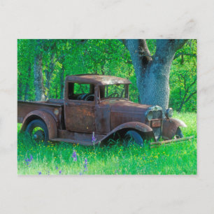 Rusted truck in a meadow postkarte