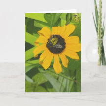 Rüsten in einer Blume Foto Blank Grußkarte