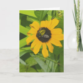 Rüsten in einer Blume Foto Blank Grußkarte Karte