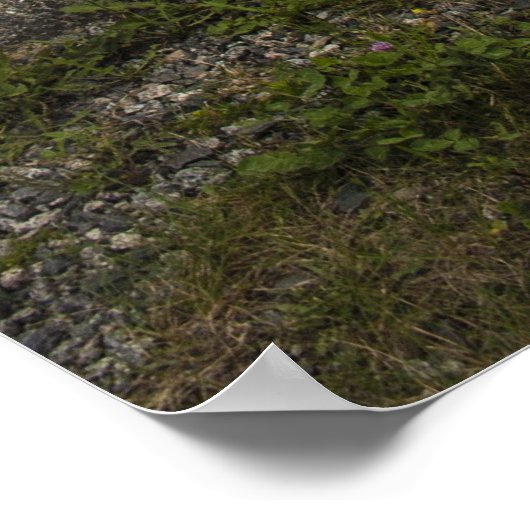 Rustet and Worn - An Anchor Ashore Poster (Ecke)