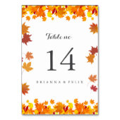 Rustic Autumn Leaves Wedding Table Number Card Tischnummer (Rückseite)