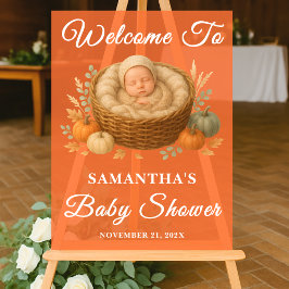 Rustic Baby in Basket Fall Baby Dusche Willkommen Acrylschild
