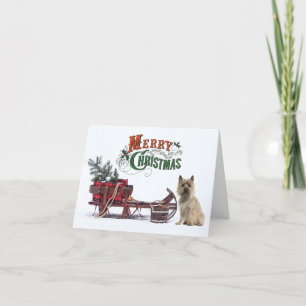 Rustic Cairn Terrier Weihnachten