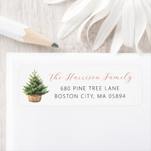 Rustic Christmas Tree In Basket Address (Insitu)