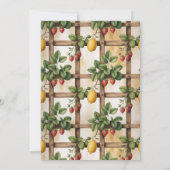 Rustic Citrus Strawberry Baby Shower Einladung (Rückseite)