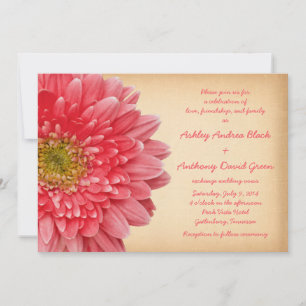 Rustic Coral Gerbera Daisy Wedding Einladung