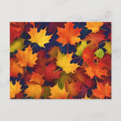 Rustic Fall Foliage Postkarte (Vorderseite)