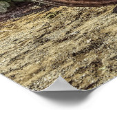 Rustic farm tractor poster (Ecke)