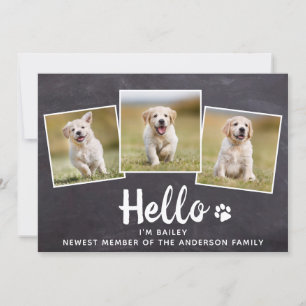 Rustic Hello Foto Collage Puppy Dog New Pet Ankündigung