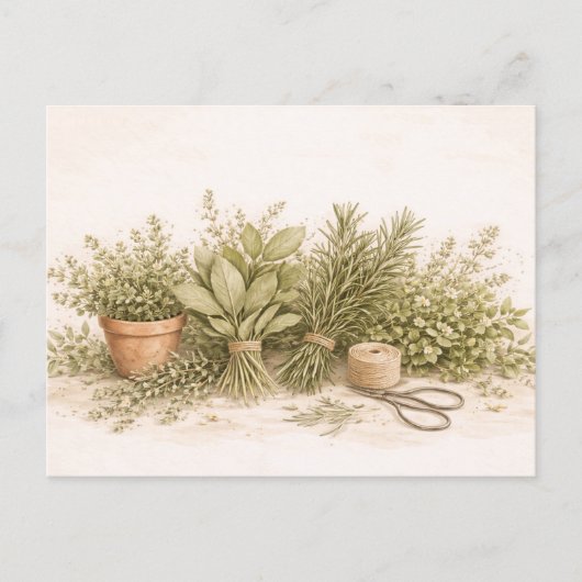 Rustic Herb Bundle Botanical Watercolor Still Life Postkarte (Vorderseite)