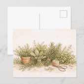 Rustic Herb Bundle Botanical Watercolor Still Life Postkarte (Vorne/Hinten)