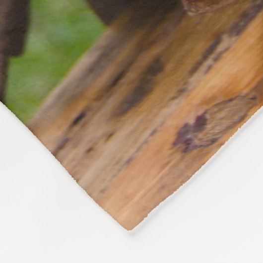 Rustic Hydrangea und Cowboy Boots Western Wedding Fleecedecke (Ecke)