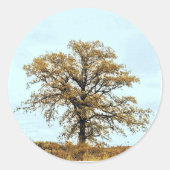 Rustic Oak Tree Autumn Wedding Runder Aufkleber (Vorderseite)