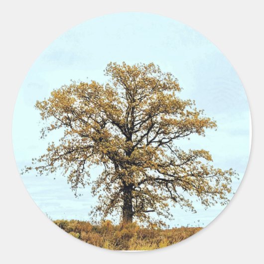 Rustic Oak Tree Autumn Wedding Runder Aufkleber (Vorderseite)