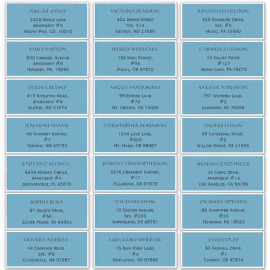 Rustic Ocean Blue Wedding Guest Address Labels (Vorderseite)