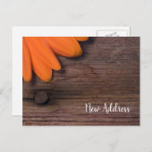 Rustic Orange Daisy und Barn Wood Neue Adresse Ankündigungspostkarte (Vorne/Hinten)