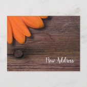 Rustic Orange Daisy und Barn Wood Neue Adresse Ankündigungspostkarte (Vorderseite)