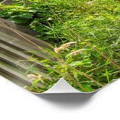 Rustic Path, Mytholmroyd Poster (Ecke)