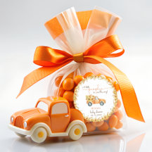 Rustic Pumpkin Fall Floral Baby Dusche