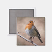 Rustic Robin Magnet (Vorderseite/Rückseite)