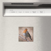 Rustic Robin Magnet (In Situ (Geschirrspüler))