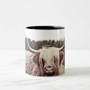 Rustic Scottish Highland Longhorn Cow Coffee Zweifarbige Tasse